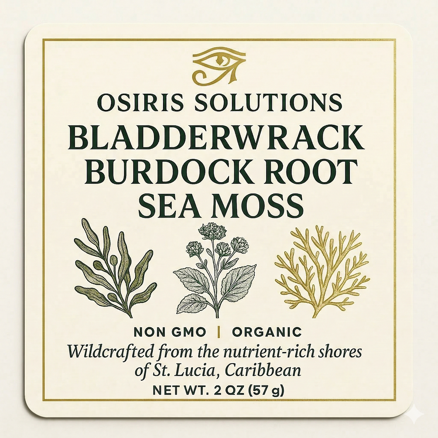 Sea Moss (Chondrus Crispus), Bladderwrack and Burdock Root (PURE)